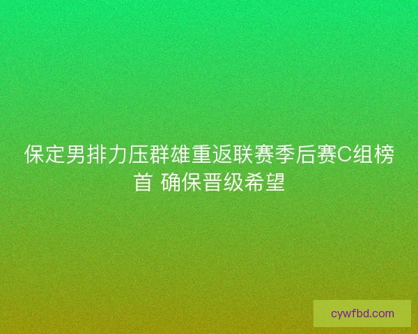 保定男排力压群雄重返联赛季后赛C组榜首 确保晋级希望