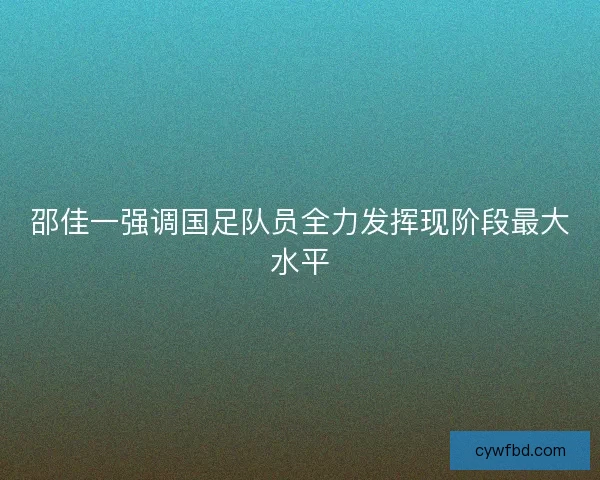 邵佳一强调国足队员全力发挥现阶段最大水平